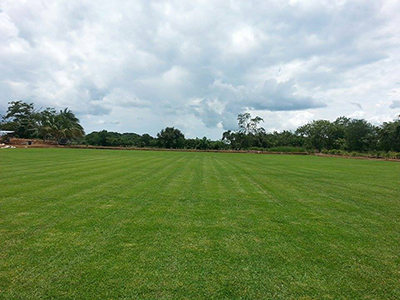 Cesped Residencial